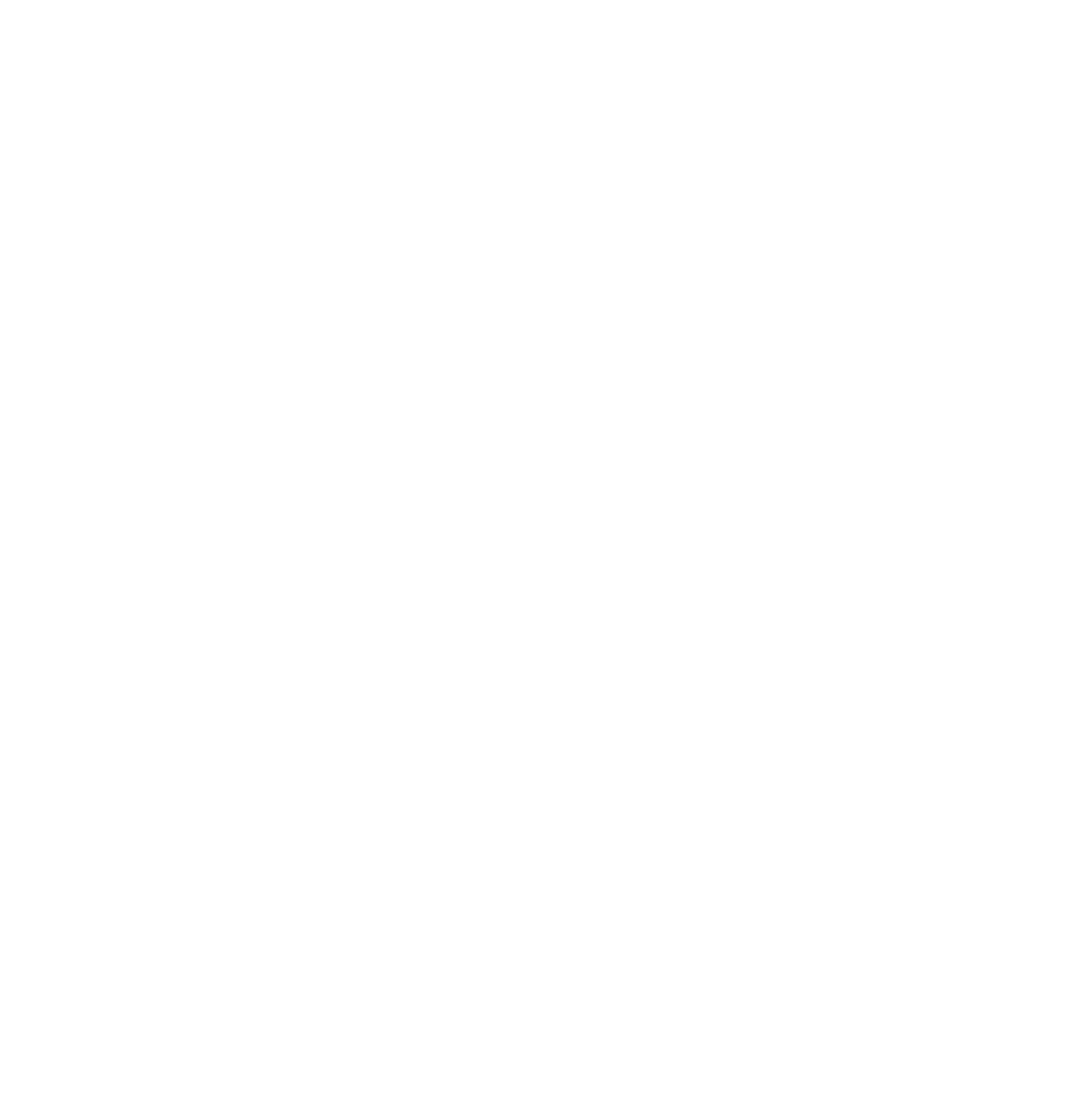 Mountain High Pie